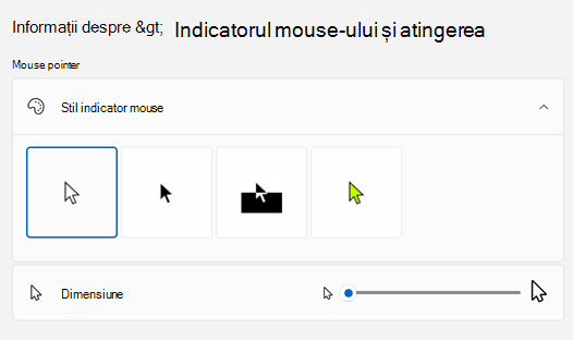 Mouse pointer & touch in Setări