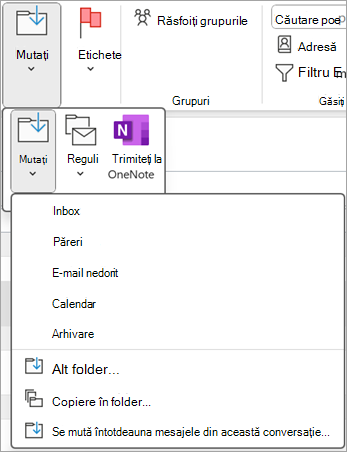 Selectați un element șters pe care doriți să-l restaurați, apoi utilizați butonul Mutare din panglică pentru a-l muta în alt folder.