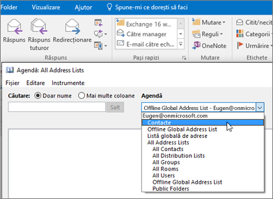 După ce importați persoanele de contact Gmail, le puteți găsi în Office 365 dacă selectați Agenda