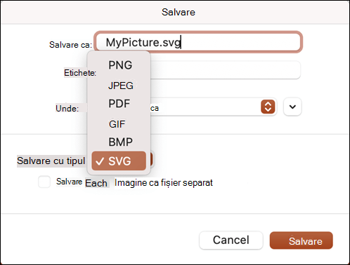 Caseta de dialog Salvare ca PowerPoint 2021 pentru Mac cu opțiunea SVG selectată