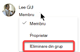 Sub numele membrului, selectați eticheta Membru, apoi selectați Eliminare din grup.