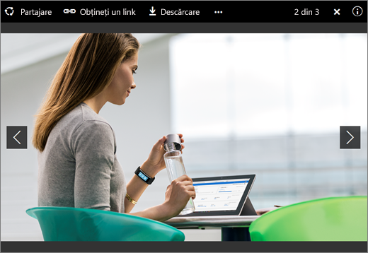 Captură de ecran cu vizualizatorul de imagini în OneDrive pentru business din SharePoint Server 2016 cu Pachetul de caracteristici 1