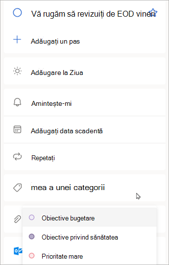 Atunci când se afișează detaliile activității, selectați Alegeți o categorie pentru a atribui o categorie pe care ați creat-o deja în Outlook.