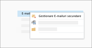 Captură de ecran conceptuală a funcției E-mailuri secundare
