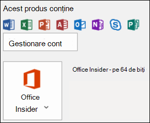 Accesați Fișier > Cont Office pentru a găsi versiunea Outlook.