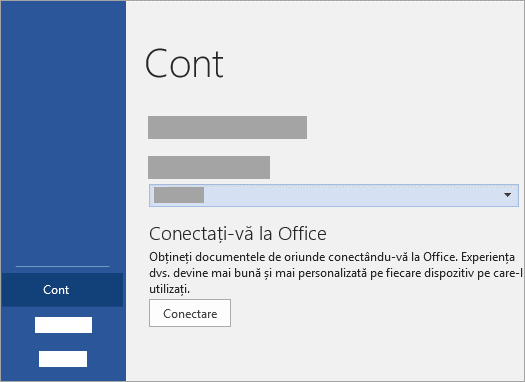Conectați-vă utilizând contul Microsoft Account sau Office 365 de serviciu sau școală.