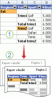Printing a PivotTable report