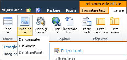 Faceți clic pe butonul imagine din panglică și selectați din computer, adresă sau SharePoint.