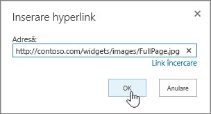 Caseta de dialog hyperlink cu adresa web și butonul OK evidențiate