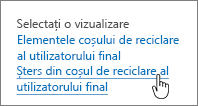 Coș de reciclare SharePoint 2013 cu Opțiunea Ștergere de la utilizator evidențiată