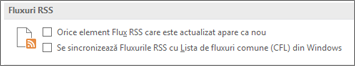 the RSS Feeds section of the Options dialog