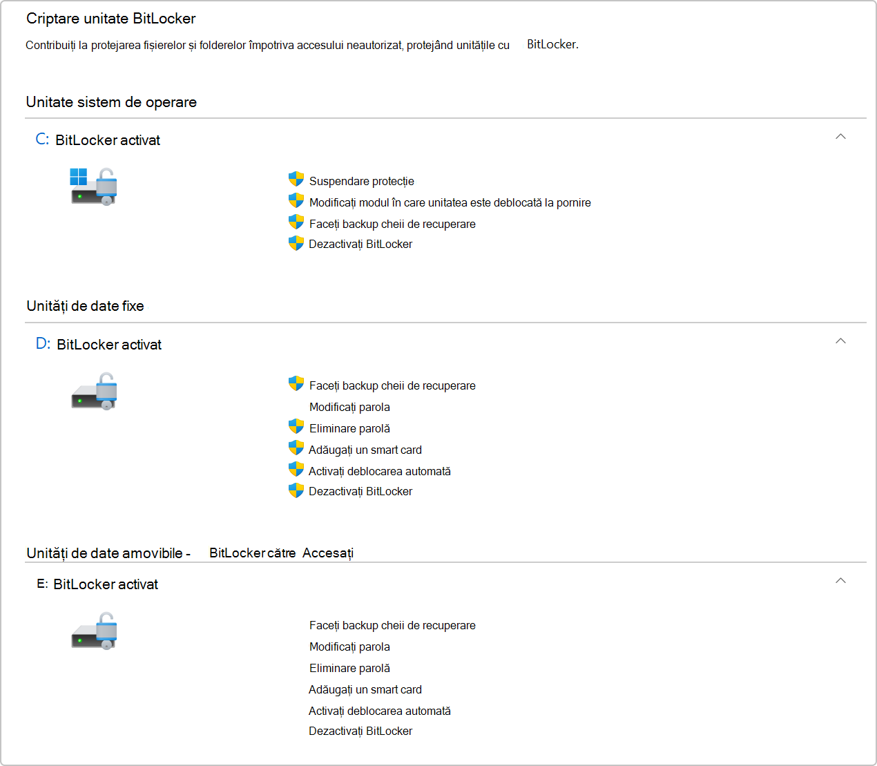 Captură de ecran a criptării unității BitLocker din Panoul de control.