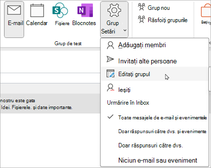 Pe panglică, selectați Setări grup > Editare grup