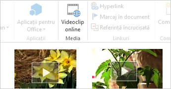 Video online într-un document Word