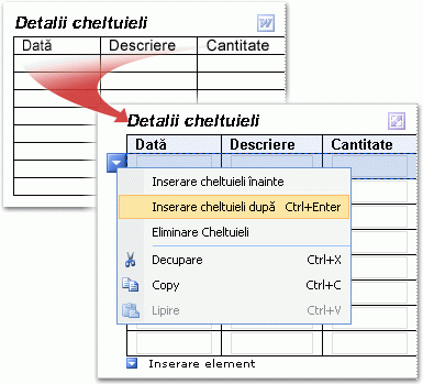 Un tabel Word care a fost convertit la un tabel repetabil InfoPath