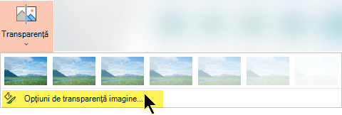 Opțiunile de transparență a imaginii vă permit să alegeți un nivel particularizat de opacitate pentru o imagine
