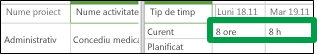 Administrative row on a timesheet