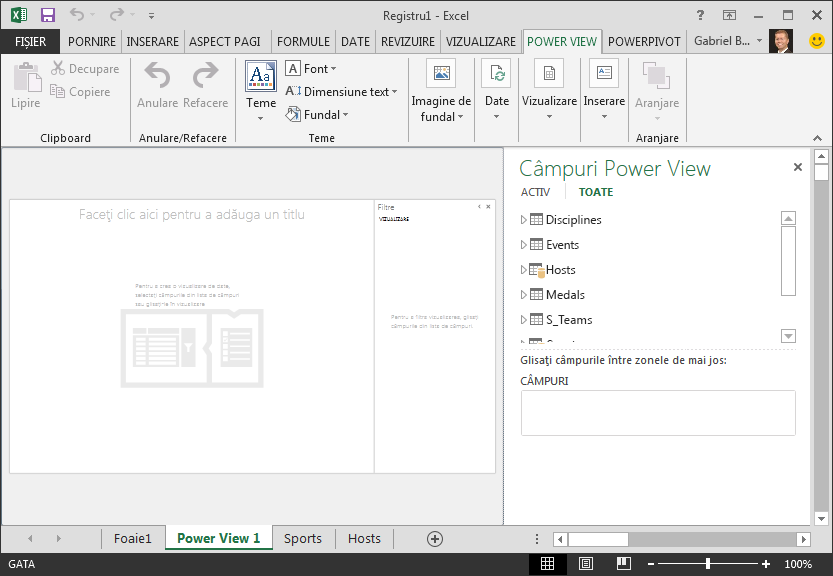 un raport Power View necompletat din Excel