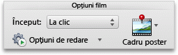 Format Movie tab, Movie Options group