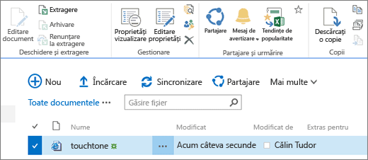 Editarea secțiunii panglicii cu elementul selectat