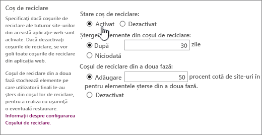 recycle settings section of web application general settings page