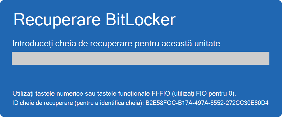 Captură de ecran a ecranului de recuperare BitLocker.