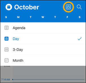 Opțiuni buton vizualizare calendar iOS