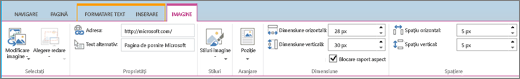 Captura de ecran prezintă o secțiune din panglica SharePoint Online cu fila Imagine selectată și selecțiile disponibile în grupurile Selectare, Proprietăți, Stiluri, Aranjare, Dimensiune și Spațiere.