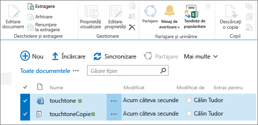 Editarea unei părți din panglică cu două elemente selectate în listă