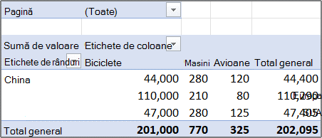 Sample Consolidated PivotTable Report with a page field.