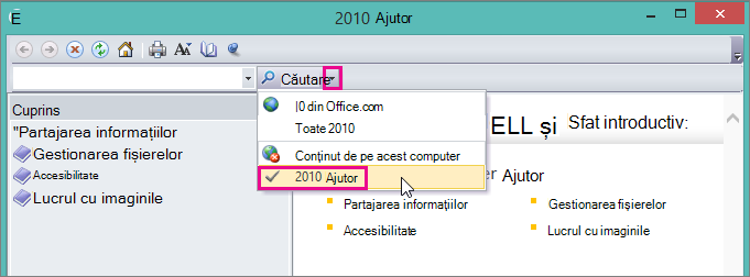 Picture Manager help window, showing the 2010 Help option
