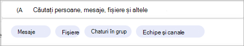 Captură de ecran afișând filtrele de căutare legate de o anumită persoană.