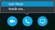 Selectați Apelare pentru a vă conecta cu un apel Skype sau pentru ca întâlnirea să vă apeleze