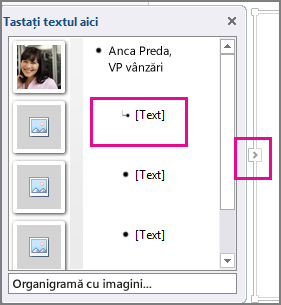 Panoul Text din ilustrația SmartArt cu [Text] și panoul de control Text evidențiate