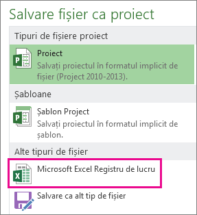 Salvați fișierul Project ca registru de lucru Microsoft Excel