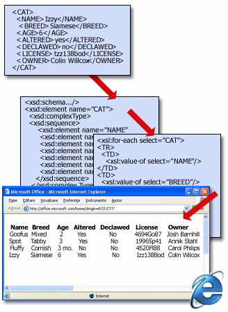 O structură de fișier XML de bază cu o schemă și o transformare