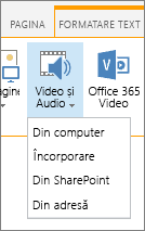 Butonul Inserare video sau audio în panglica editare