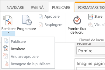 Remitere, butonul publicare din fila publicare din modul editare.