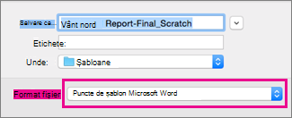 In the Save As box, Word template is highlighted
