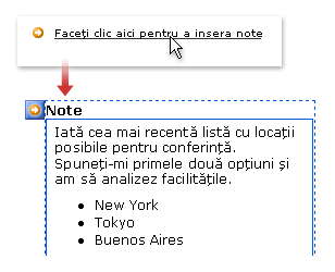 Optional section used to collect notes