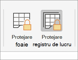 Protejare registru de lucru evidențiat în MacOS