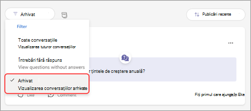 Captură de ecran cu meniul vertical Q&Un filtru, cu opțiunea arhivată evidențiată.