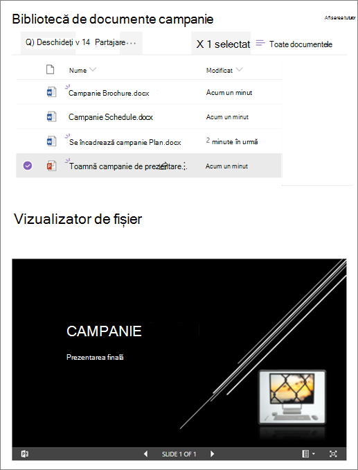 Exemplu de parte web Vizualizator fișiere conectată la o bibliotecă de documente