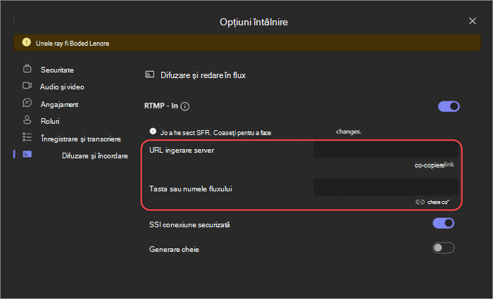 Captură de ecran afișând setările RTMP-In din opțiunile întâlnirii.