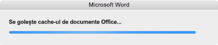 Bara de progres „Se golește cache-ul pentru documente Office”