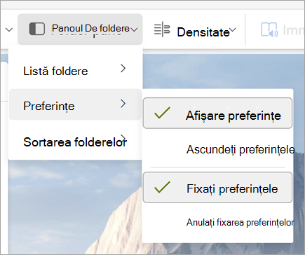 Captură de ecran cu lista verticală Panou de foldere, cu Afișare preferințe și Fixare preferințe selectată