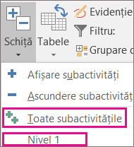 subactivitate06