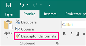 Afișează butonul Descriptor de formate din Publisher