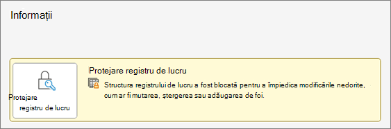 Protejare registru de lucru sub meniul Informații