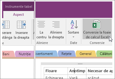 Captură de ecran a butonului Conversie la foaie de calcul Excel în OneNote 2016.